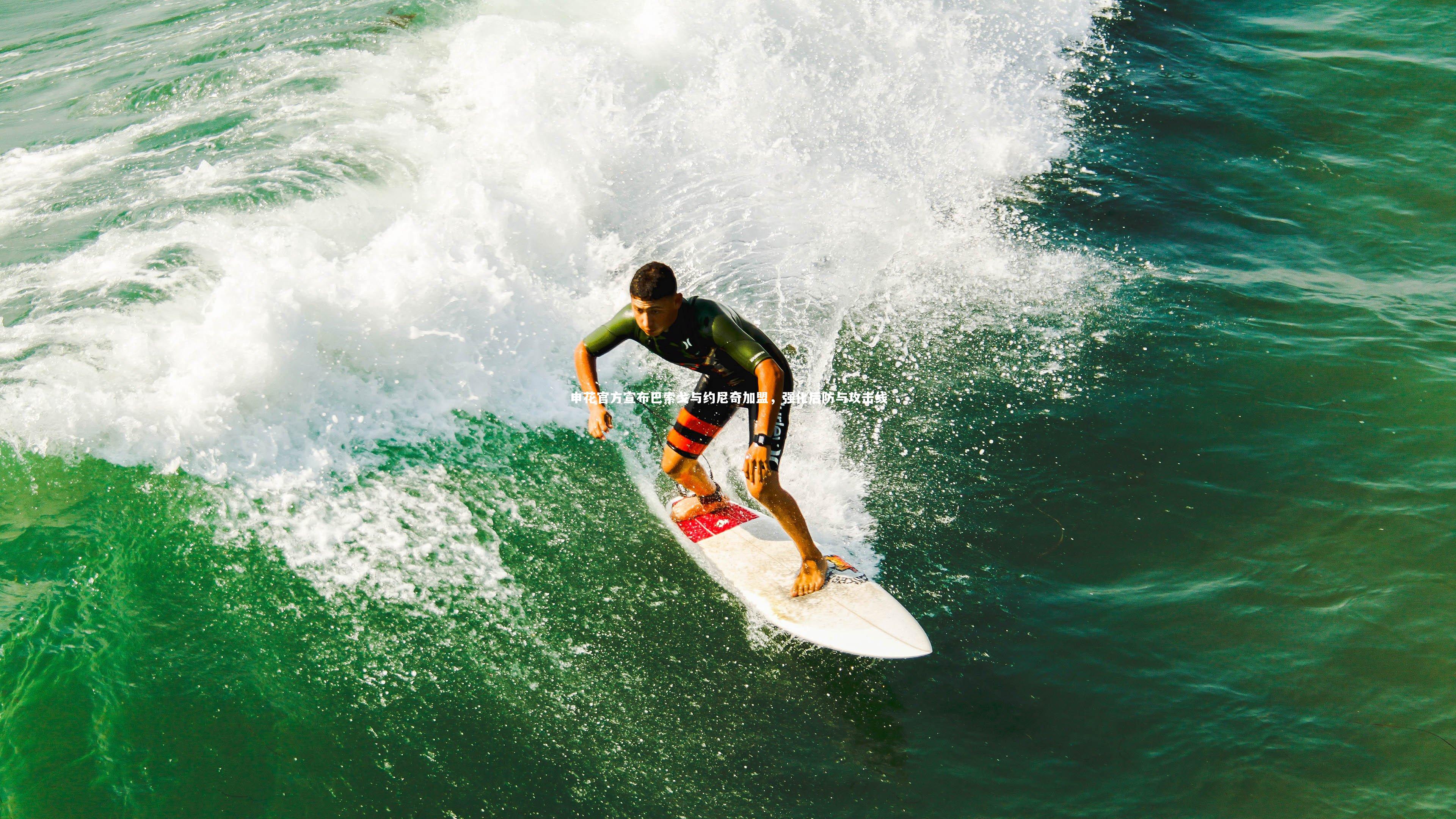 申花官方宣布巴索戈与约尼奇加盟，强化后防与攻击线